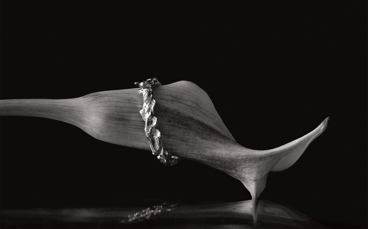 image of necklace